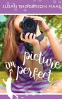 Picture Imperfect Cover Image