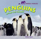 Penguins: Life in the Colony (Animal Families) By Willow Clark Cover Image