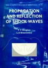 Propagation and Reflection of Shock Waves (Advances in Mathematics for Applied Sciences #49) Cover Image