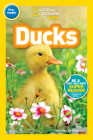 National Geographic Readers: Ducks (Pre-reader) Cover Image
