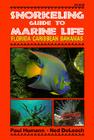 Snorkeling Guide to Marine Life Florida, Caribbean, Bahamas Cover Image