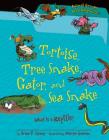 Tortoise, Tree Snake, Gator, and Sea Snake: What Is a Reptile? (Animal Groups Are Categorical (TM)) By Brian P. Cleary, Martin Goneau (Illustrator) Cover Image