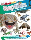 DKfindout! Reptiles and Amphibians (DK findout!) Cover Image