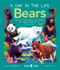 Bears (A Day in the Life): What do Polar Bears, Giant Pandas, and Grizzly Bears Get Up to All Day? By Don Hardeman Jr., Rebecca Mills (Illustrator), Neon Squid Cover Image