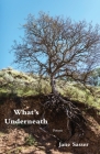 What's Underneath By Jane Sasser Cover Image
