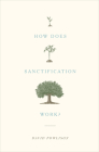 How Does Sanctification Work? Cover Image