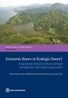 Economic Boom or Ecologic Doom?: Using Spatial Analysis to Reconcile Road Development with Forest Conservation By Alvaro Federico Barra, Mathilde Burnouf, Richard Damania Cover Image