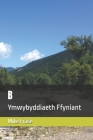 B: Ymwybyddiaeth Ffyniant Cover Image