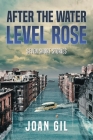 After the Water Level Rose: Seven Short Stories By Joan Gil Cover Image