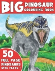 The Big Dinosaur Colouring Book: Kids Colouring Book With Dinosaur Facts By King Coloring Cover Image