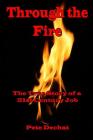 Through The Fire: The True Story of a 21st Century Job Cover Image
