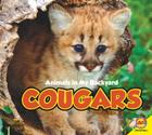 Cougars (Animals in My Backyard) Cover Image