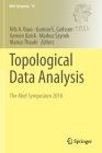 Topological Data Analysis: The Abel Symposium 2018 (Abel Symposia #15) By Nils A. Baas (Editor), Gunnar E. Carlsson (Editor), Gereon Quick (Editor) Cover Image