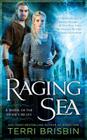 Raging Sea (A Novel of the Stone Circles #2) By Terri Brisbin Cover Image