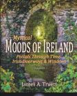 Portals Through Time - Irish Doorways & Windows: Mystical Moods of Ireland, Vol. VI By James a. Truett, James a. Truett (Photographer) Cover Image