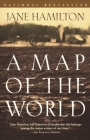 A Map of the World: A Novel Cover Image