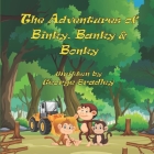 The Adventures of Binky, Banky, and Bonky By Jill Bradley, George Bradley Cover Image