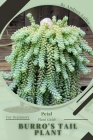 Burro's Tail Plant: Prodigy Petal, Plant Guide By Petal Prodigy Cover Image