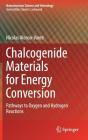 Chalcogenide Materials for Energy Conversion: Pathways to Oxygen and Hydrogen Reactions (Nanostructure Science and Technology) By Nicolas Alonso-Vante Cover Image