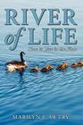 River of Life - How to Live in the Flow By Marilyn J. Awtry Cover Image