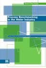 Process Benchmarking in the Water Industry (Manual of Best Practice) By Renato Parena, E. Smeets, I. Troquet Cover Image
