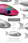 Parrotfish By Ellen Wittlinger Cover Image