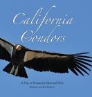 California Condors: A Day at Pinnacles National Park By Shirlaine Baldwin, Bob Baldwin Cover Image
