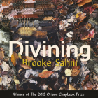 Divining Cover Image