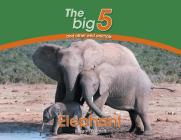Elephant: The Big 5 and other wild animals By Megan Emmett Cover Image