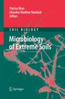 Microbiology of Extreme Soils (Soil Biology #13) By Patrice Dion (Editor), J. D. Rummel (Foreword by), Chandra Shekhar Nautiyal (Editor) Cover Image