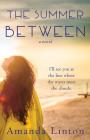 The Summer Between By Amanda V. Linton, Pilgrim Michael (Editor), Davis Madison (Illustrator) Cover Image