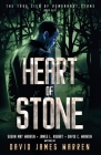 Heart of Stone: A Time Travel Thriller By David James Warren Cover Image
