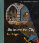 Life Below the City Cover Image