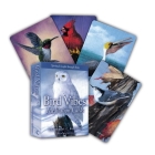 Bird Vibes Meditation Cards: Spiritual Insight Through Birds (A 54-Card Deck and Guidebook) By Catherine C. Bastedo, Heather Bale (Illustrator) Cover Image