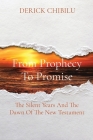 From Prophecy To Promise: The Silent Years And The Dawn Of The New Testament By Derick Chibilu Cover Image