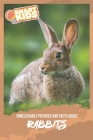 Unbelievable Pictures and Facts About Rabbits By Olivia Greenwood Cover Image