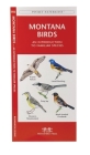 Montana Birds: A Folding Pocket Guide to Familiar Species (Pocket Naturalist Guide) By James Kavanagh, Waterford Press, Raymond Leung (Illustrator) Cover Image