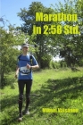Marathon in 2: 58 Std.: mit Marathon Erfahrungsberichten von 2014-2017 Cover Image