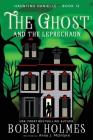 The Ghost and the Leprechaun (Haunting Danielle #12) By Bobbi Holmes, Anna J. McIntyre, Elizabeth Mackey (Illustrator) Cover Image