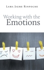 Working With the Emotions Cover Image