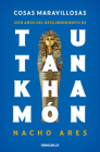 Cosas maravillosas. Cien años del descubrimiento de Tutankhamón / The Discovery of Tutankhamun's Tomb By Nacho Ares Cover Image