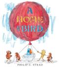 A Home for Bird By Philip C. Stead, Philip C. Stead (Illustrator) Cover Image