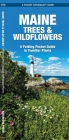 Maine Trees & Wildflowers: A Folding Pocket Guide to Familiar Plants (Pocket Naturalist Guide) By James Kavanagh, Waterford Press, Raymond Leung (Illustrator) Cover Image