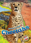 Cheetahs (Animals at Risk) Cover Image