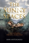 The Sunny Spaces: A Novel of Romance, Inspiration, and Restoration Cover Image