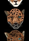 Mindbook: Jaguars By Dawn Avalon Cover Image