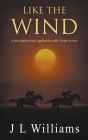 Like The Wind Cover Image