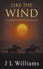 Like The Wind By J. L. Williams Cover Image