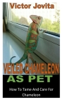 Veiled Chameleon as Pet: How To Tame And Care For Chameleon Cover Image