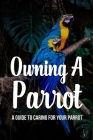 Owning A Parrot: A Guide To Caring For Your Parrot: How Can I Make My Parrot Friendly? By Bernice Sanes Cover Image